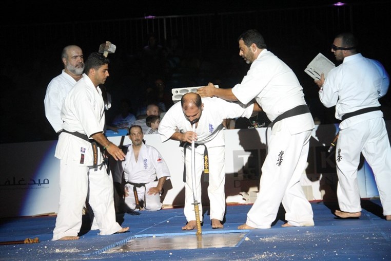 Martial Arts Festival